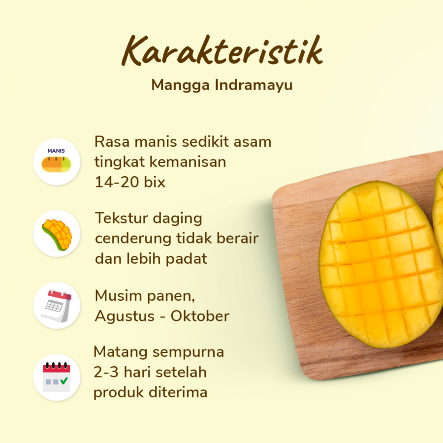 Mangga Indramayu Astro Farm 3-4 pcs 1-1.1kg