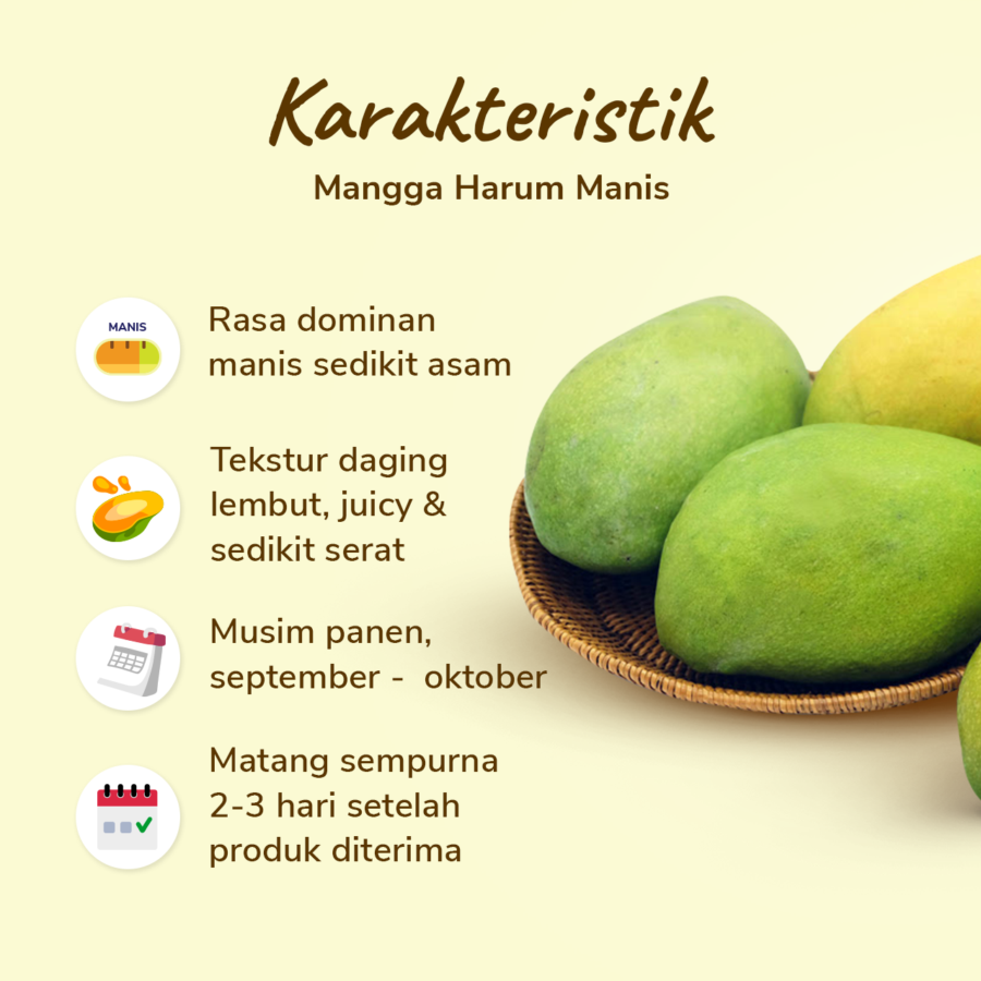 Mangga Harum Manis Astro Farm 1-2 pcs 400-500 gram