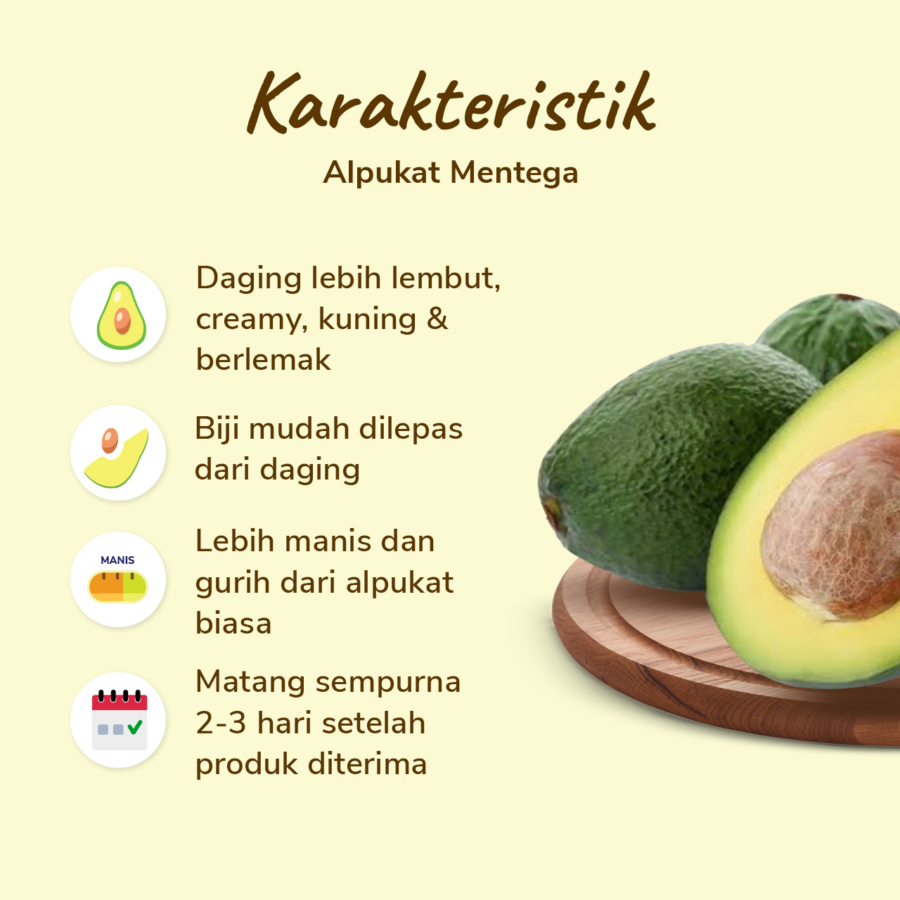 Alpukat Mentega Astro Farm 1-2 pcs 400-500 gram