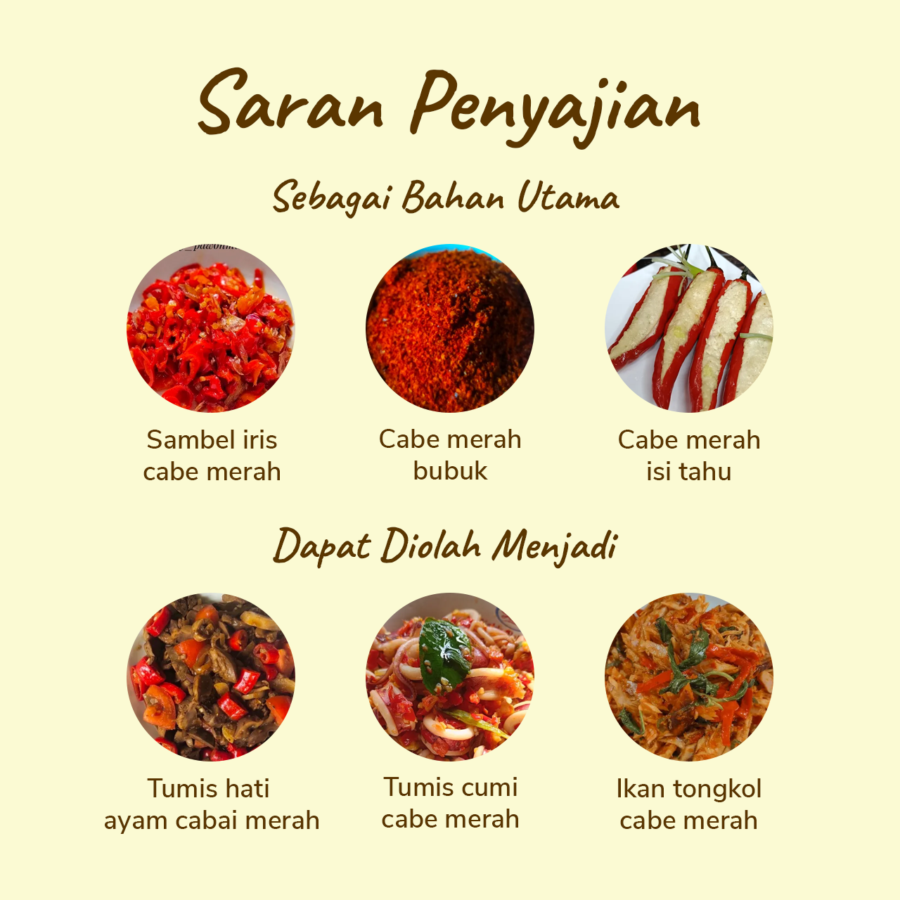 Cabe Merah Besar Hydroponic Astro Farm 100gram