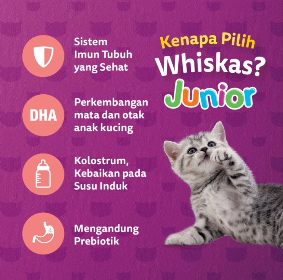 Whiskas Junior Tuna & Salmon Mother and Kitten Makanan Kucing Kering 1100gram