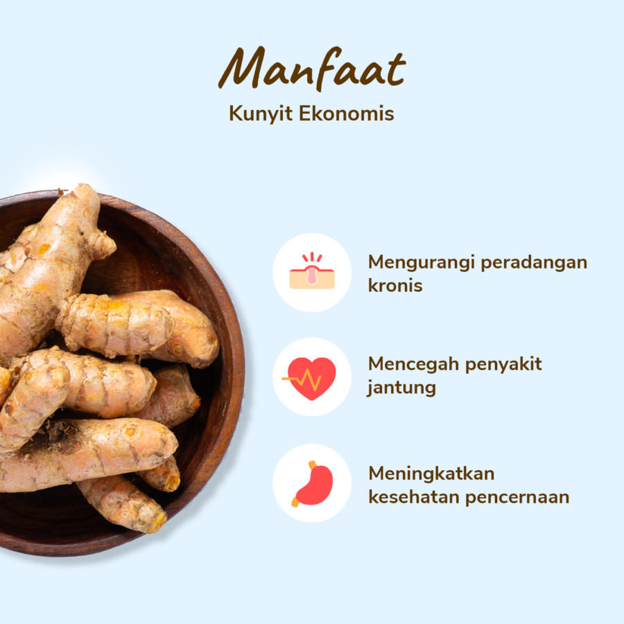 Kunyit Ekonomis Astro Farm 100gram