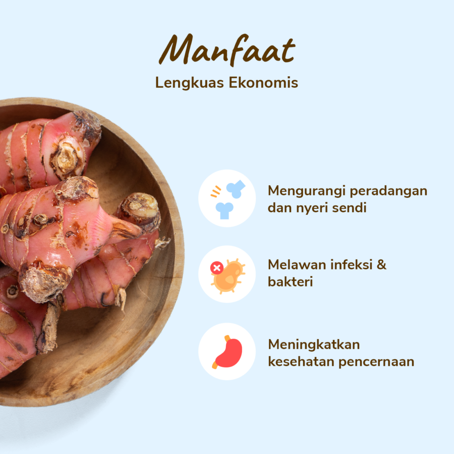 Lengkuas Ekonomis Astro Farm 100gram
