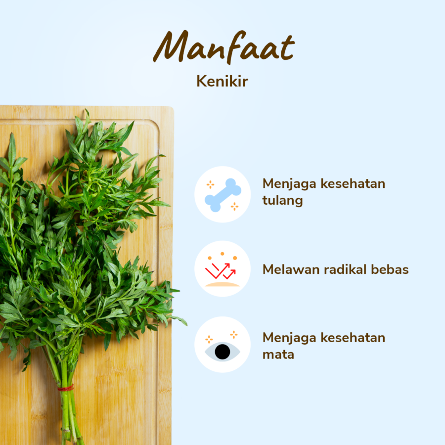 Kenikir Astro Farm 100gram