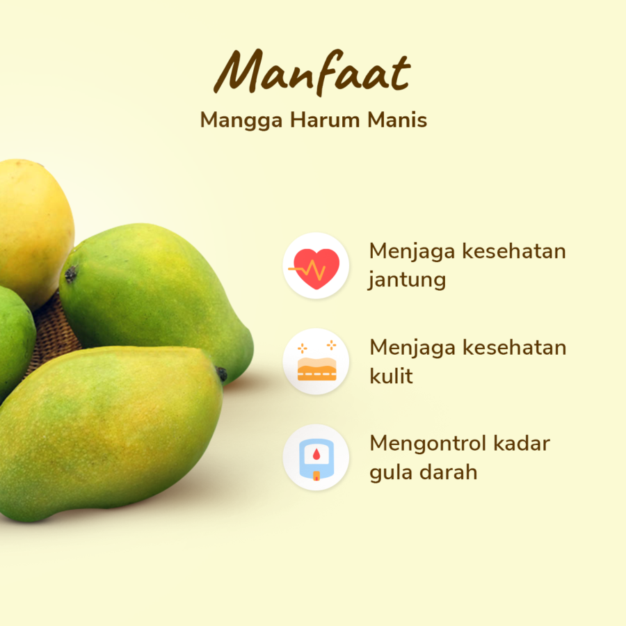 Mangga Harum Manis Astro Farm 1-2 pcs 400-500 gram