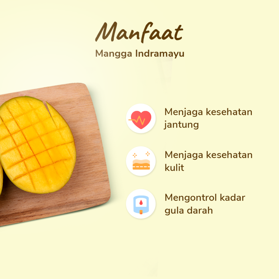 Mangga Indramayu Astro Farm 2-3 pcs 450-500 gram
