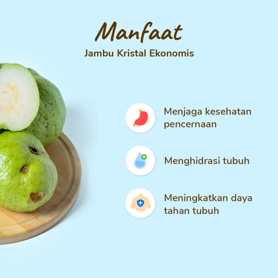 Jambu Kristal Ekonomis Astro Farm 2-3 pcs 500-600gram