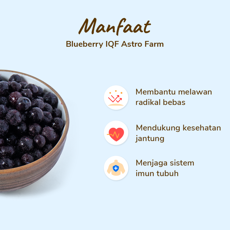 Blueberry Frozen IQF 500gram