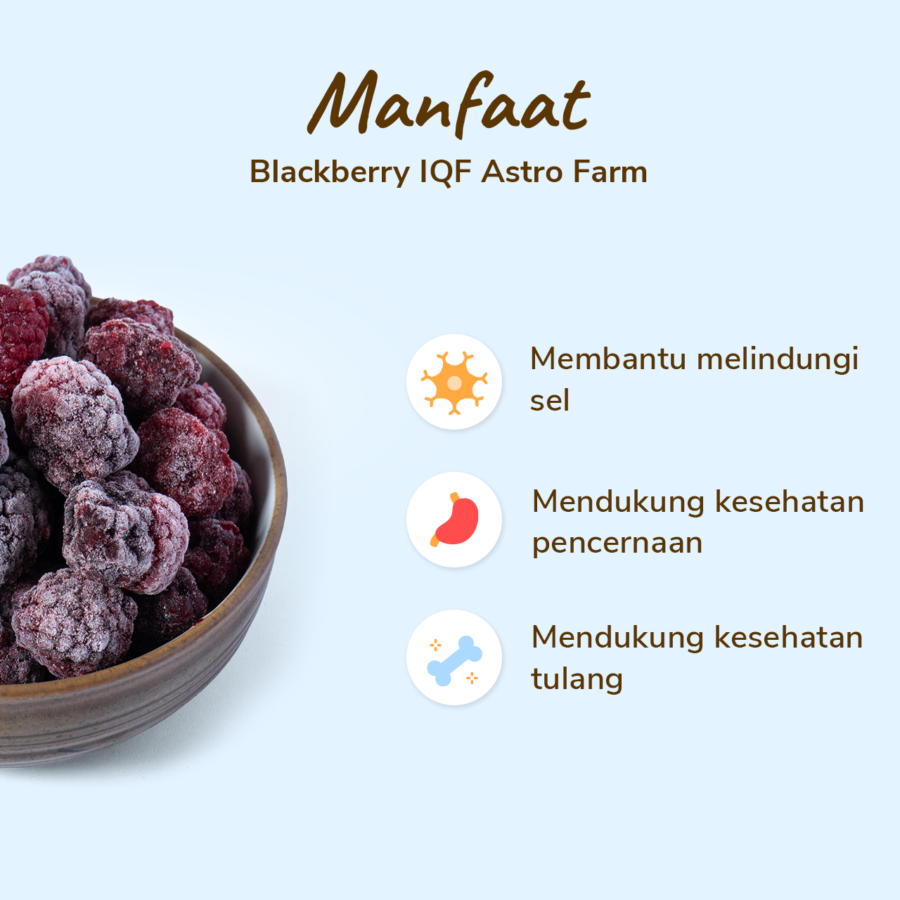 Blackberry Frozen IQF 500gram