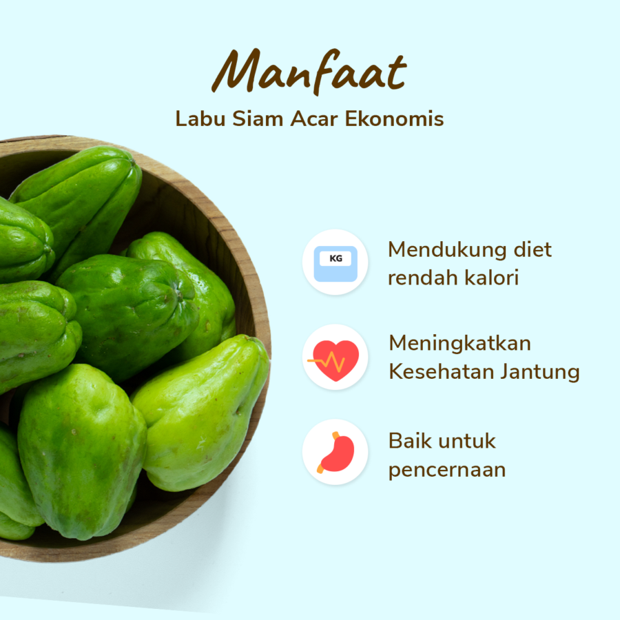 Labu Siam Acar Ekonomis Astro Farm 250gram