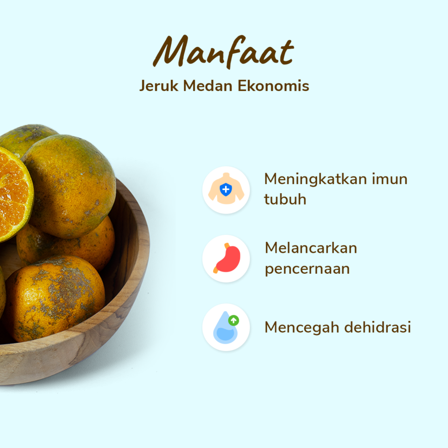 Jeruk Medan Ekonomis Astro Farm 4-5 pcs 450-500 gram 1pcs