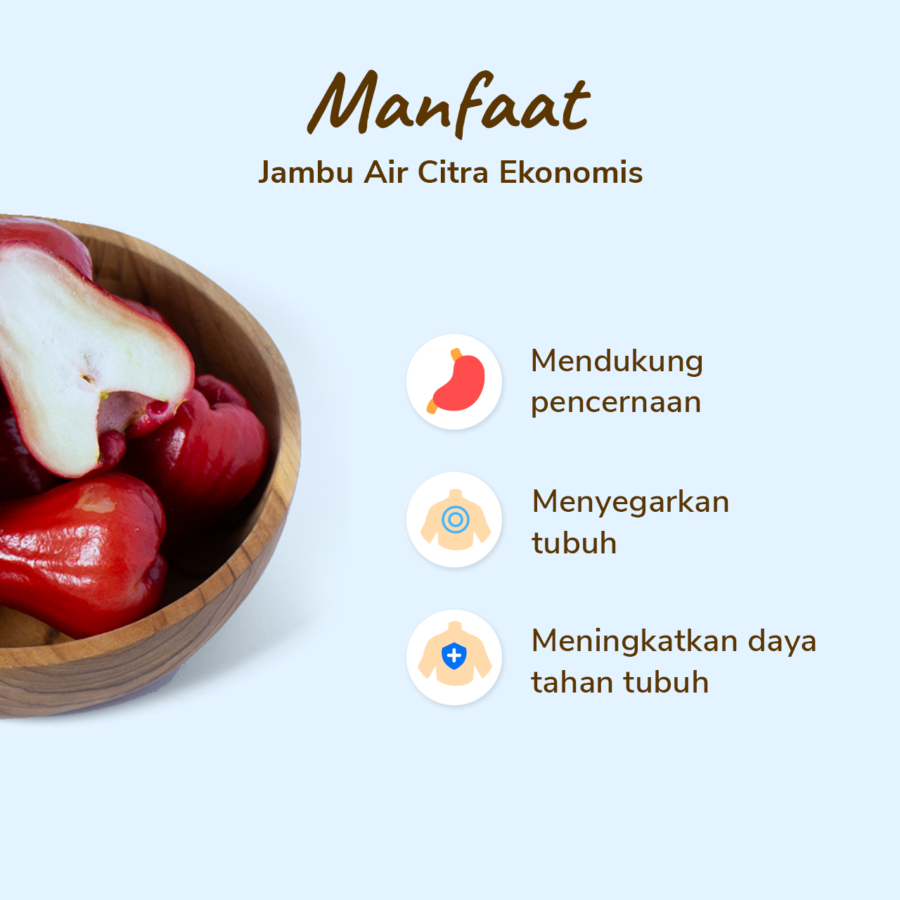 Jambu Air Citra Ekonomis Astro Farm 4-7 pcs 400-500gram