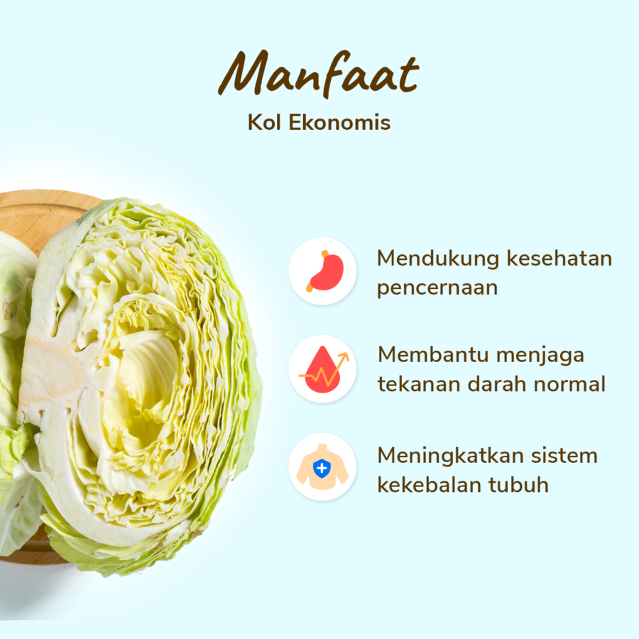 Kol Putih Ekonomis Astro Farm 500gram