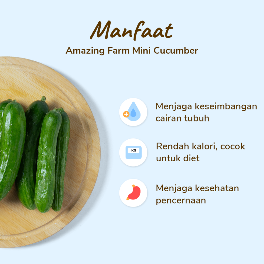 Amazing Farm Mini Cucumber
