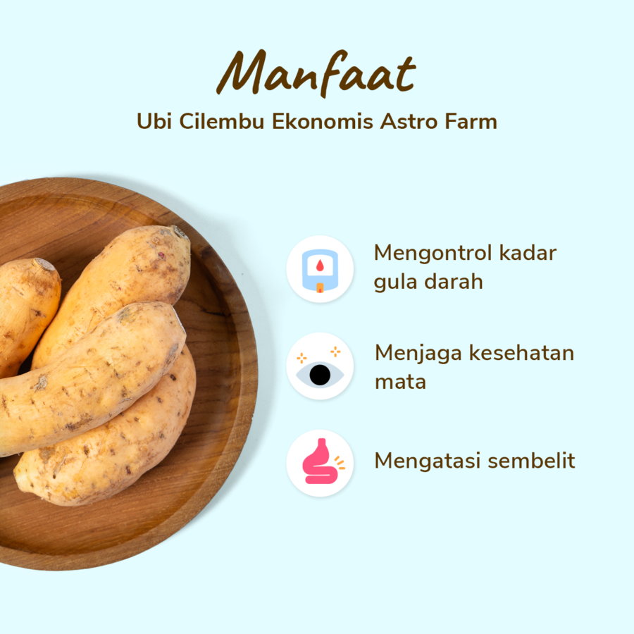 Ubi Cilembu Ekonomis Astro Farm 550 gram