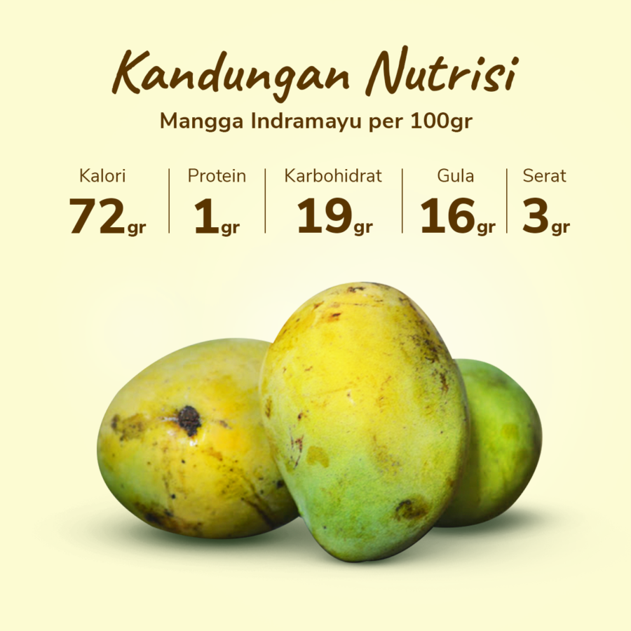 Mangga Indramayu Astro Farm 3-4 pcs 1-1.1kg