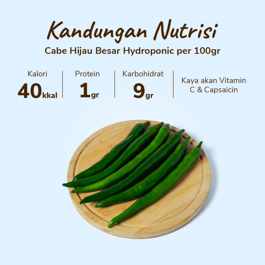 Cabe Hijau Besar Hydroponic Astro Farm 100gram