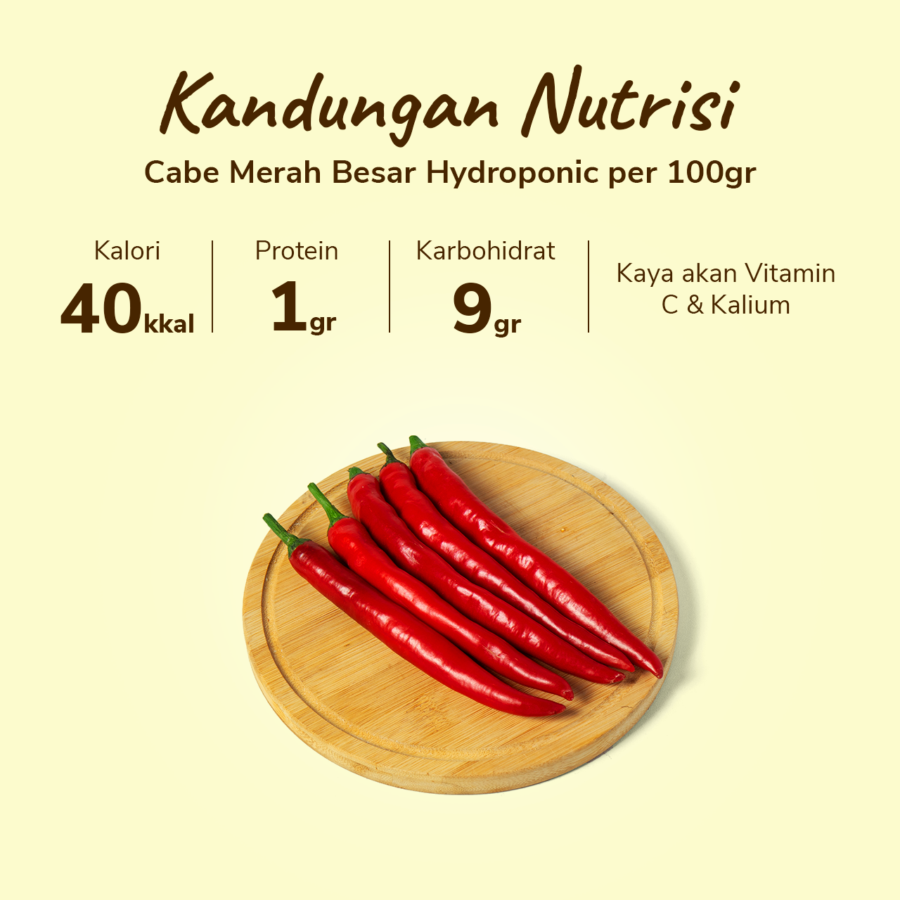 Cabe Merah Besar Hydroponic Astro Farm 100gram