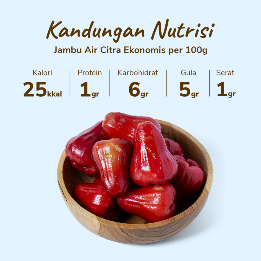 Jambu Air Citra Ekonomis Astro Farm 4-7 pcs 400-500gram