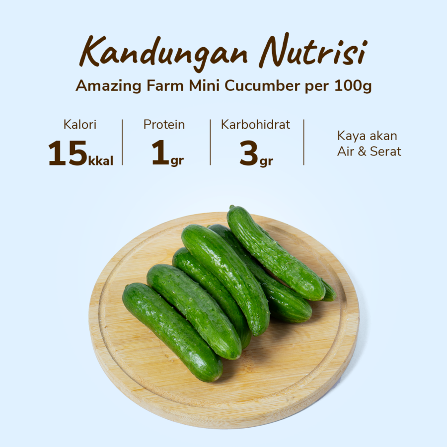 Amazing Farm Mini Cucumber