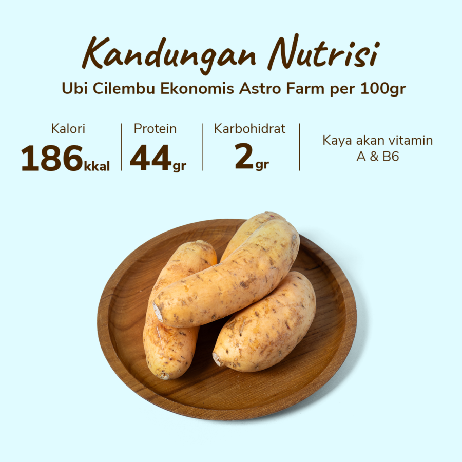 Ubi Cilembu Ekonomis Astro Farm 550 gram