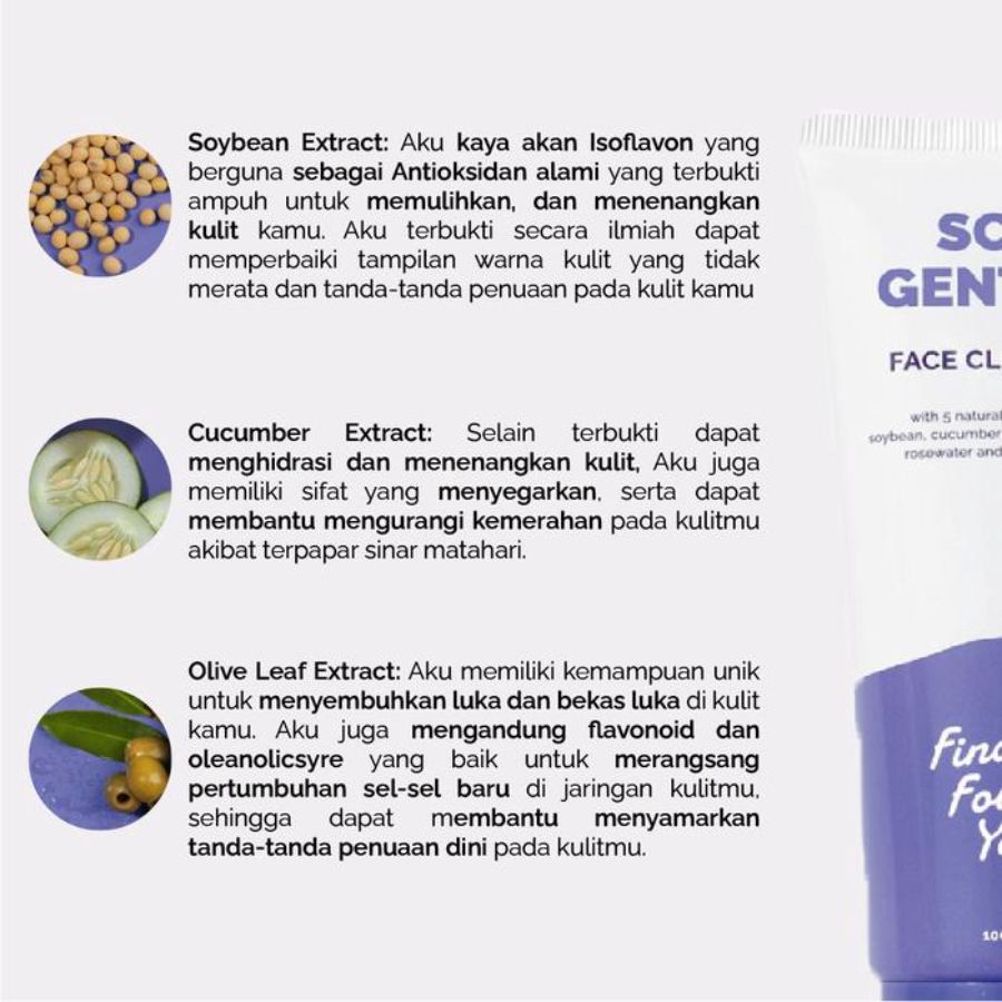 Finally Found You! Soy Gentle 2in1 Face Cleanser 100ml
