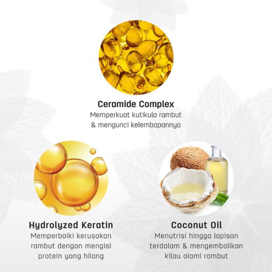 Erhair Restore Ceramide & Hydrolized Keratin Daily Damage Repair Shampoo 100ml