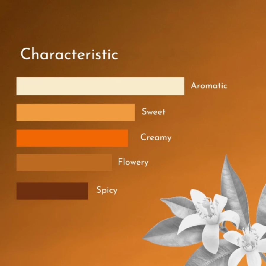 ALT Perfumery Morrocan Sunset Eau de Parfum 50ml