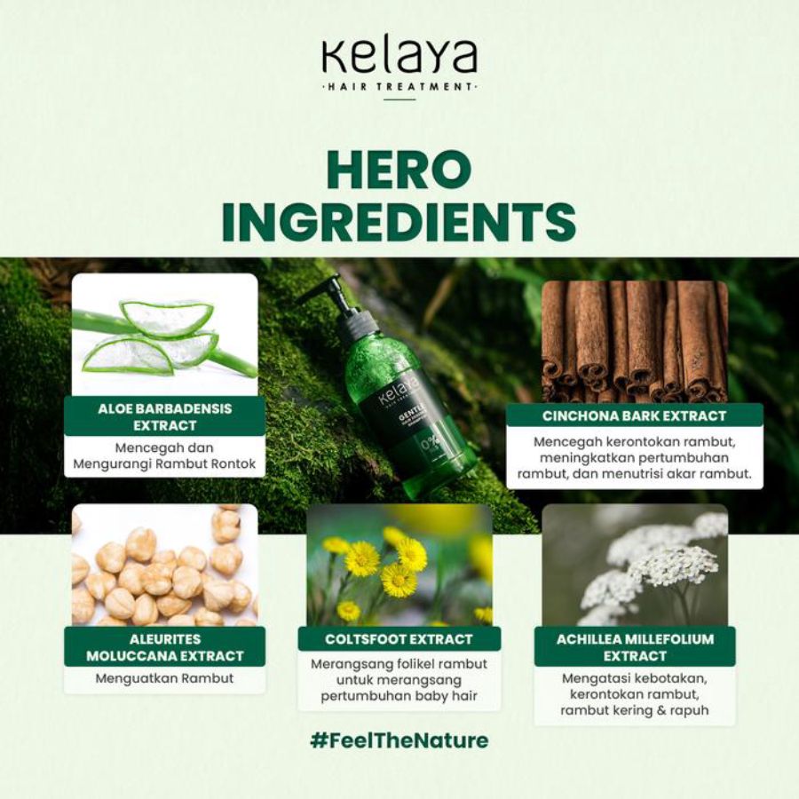 Kelaya Gentle Hair Essence Shampoo Non SLS 250ml