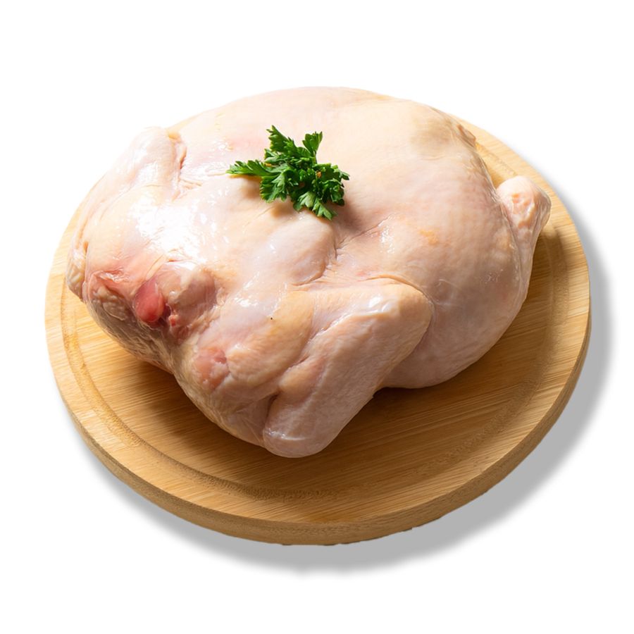Olagud Frozen Chicken Probiotik 800gram