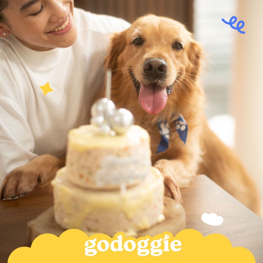 Godoggie Healthy Beef Barkday Cake 350gram