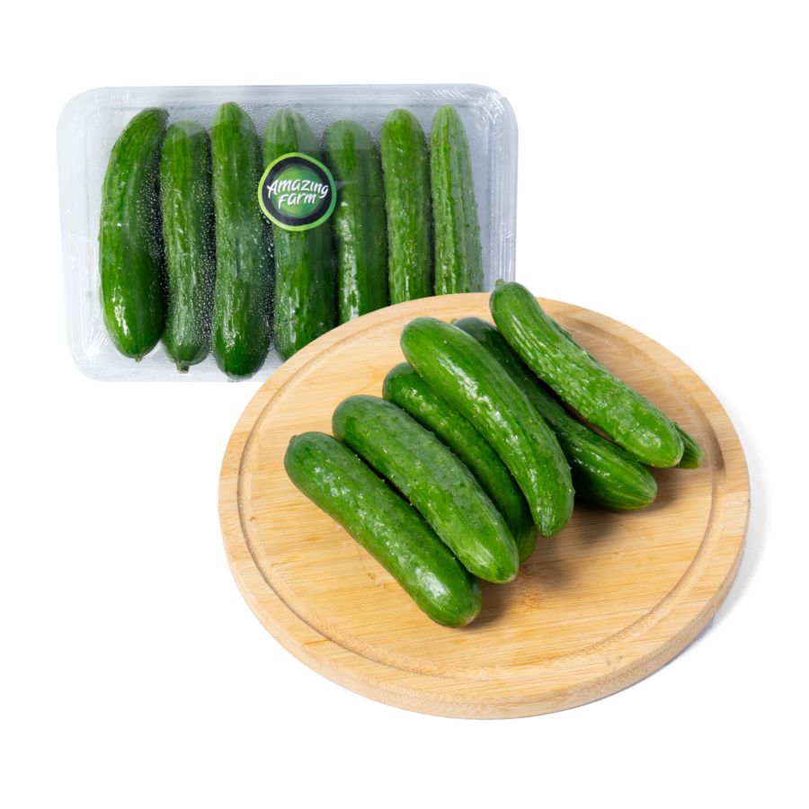 Amazing Farm Mini Cucumber
