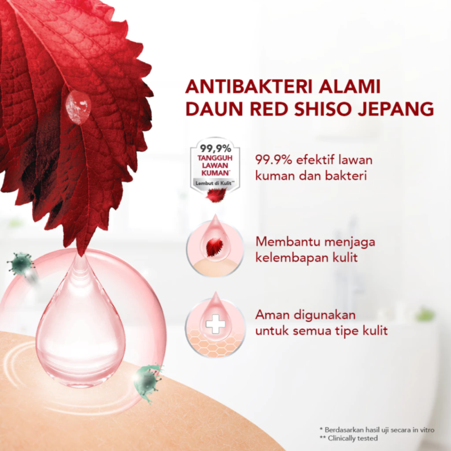 Zen Japanese Red Shiso with Sandalwood Antibacterial Body Wash 400ml