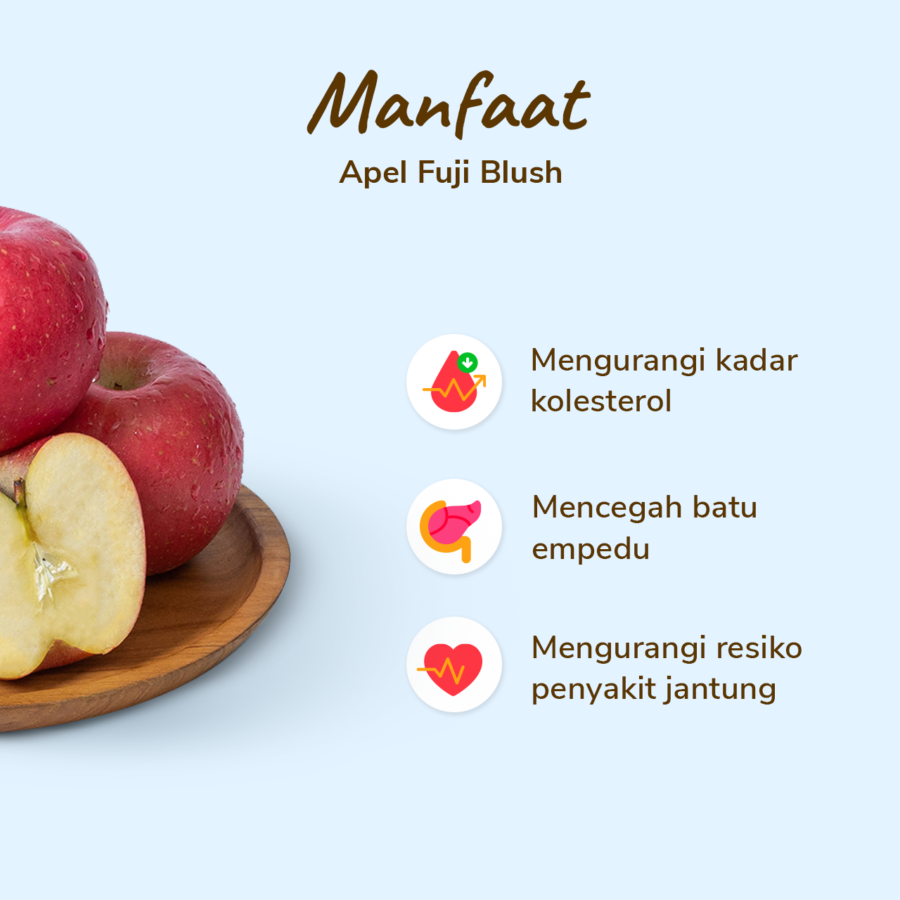 Apel Fuji Blush Premium Size L Astro Farm 1 pcs 200-300gram