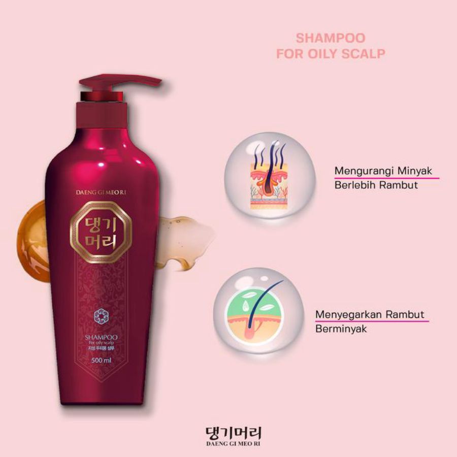 Daeng Gi Meo Ri Shampoo for Oily Scalp 500ml