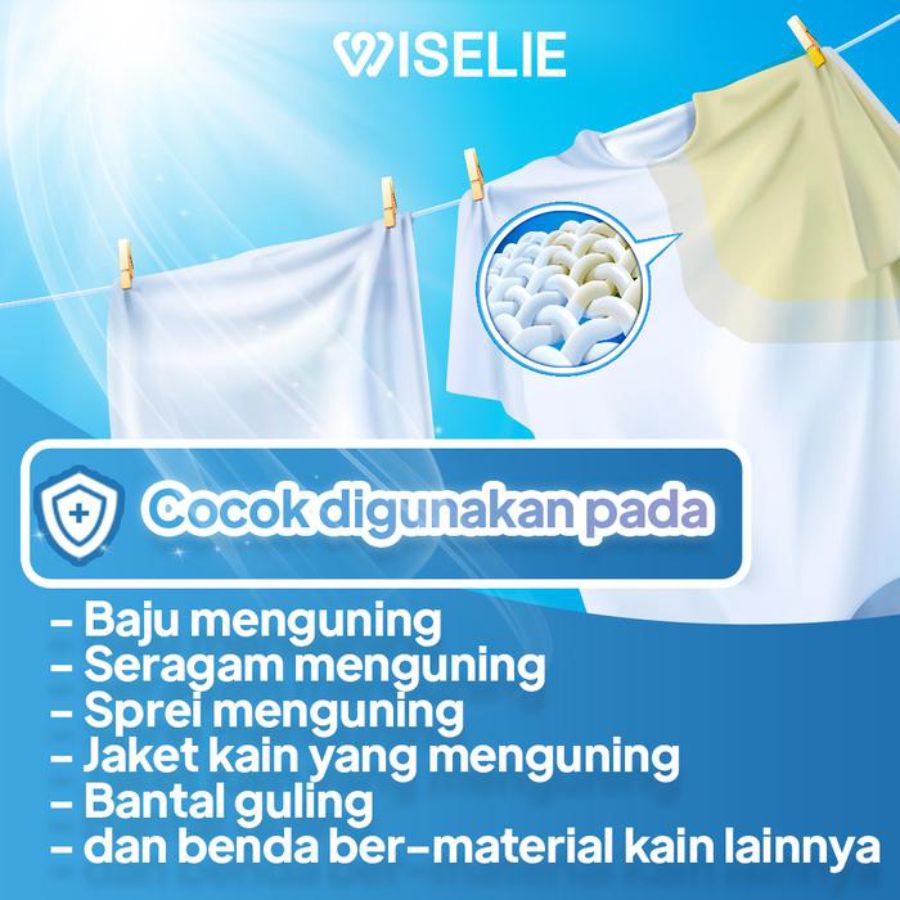 Wiselie Cloth Stain Remover 500gram