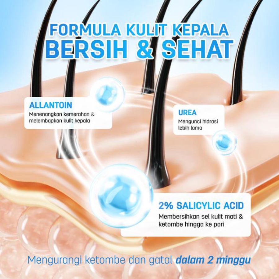 Erhair Scalperfect BHA & Allantoin Scalp Exfoliating Gel Perawatan Rambut 30gram