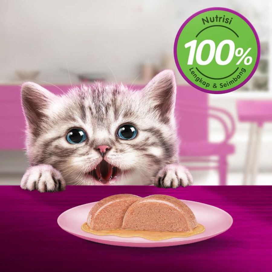 Whiskas Junior Salmon Makanan Kucing Basah 80gram