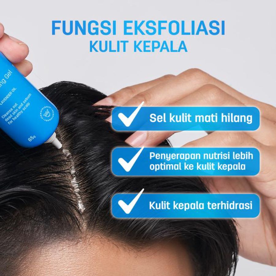 Erhair Scalperfect BHA & Allantoin Scalp Exfoliating Gel Perawatan Rambut 30gram