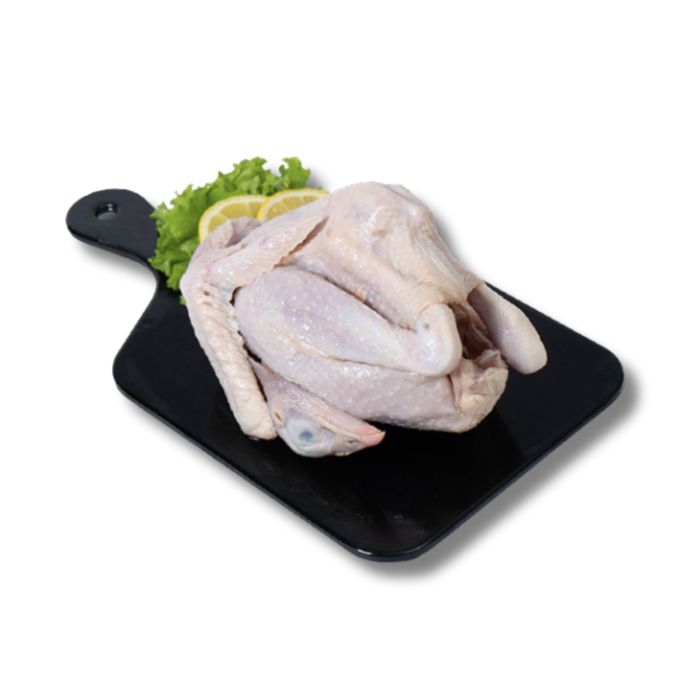 Ayam Kampung Organik Probiotik+Jamu Regular Hona Farm 700-800gram