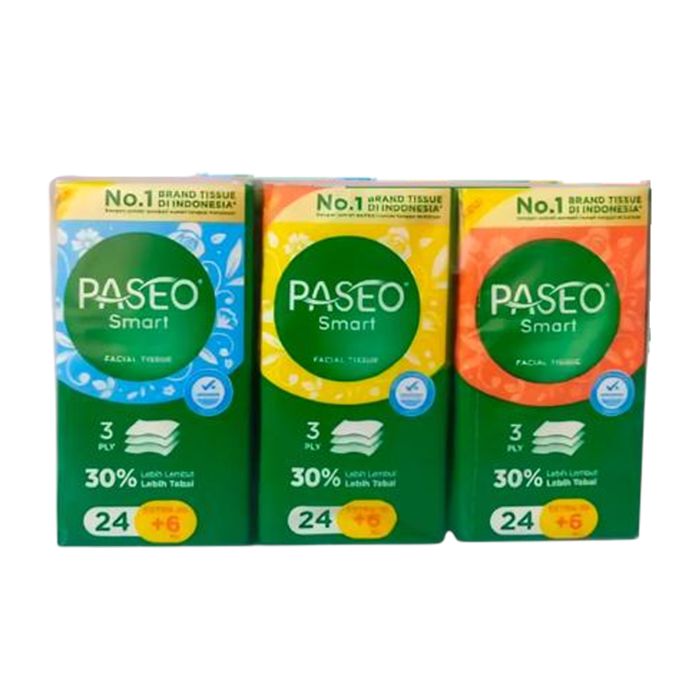 Paseo Facial Hanky 24 Ply