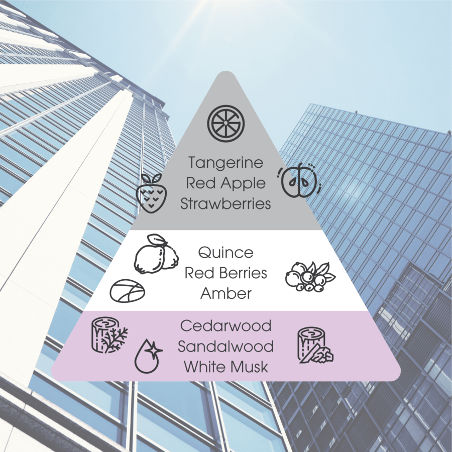 Pucelle Audacity Eau De Parfum Valorous 50ml 50ml