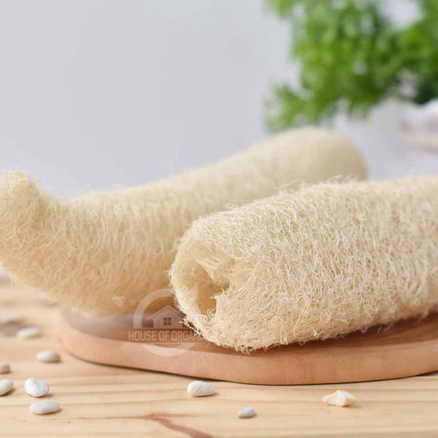 Natural Bath Sponge Loofah Serat Oyong 20cm 1pcs