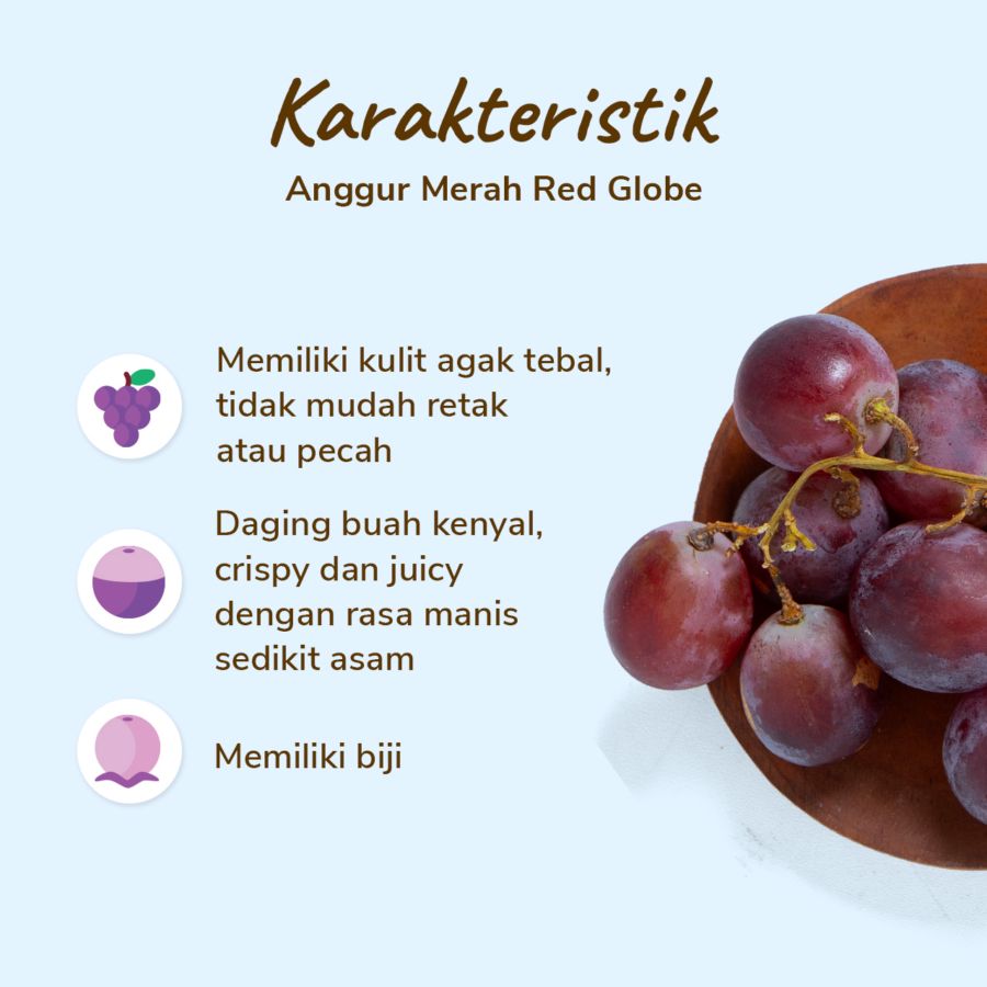 Anggur Red Globe Astro Farm 100-150gram
