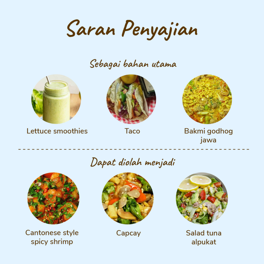 Lettuce Head Ekonomis Astro Farm 300gram