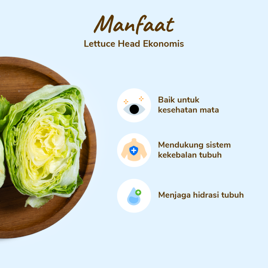 Lettuce Head Ekonomis Astro Farm 300gram