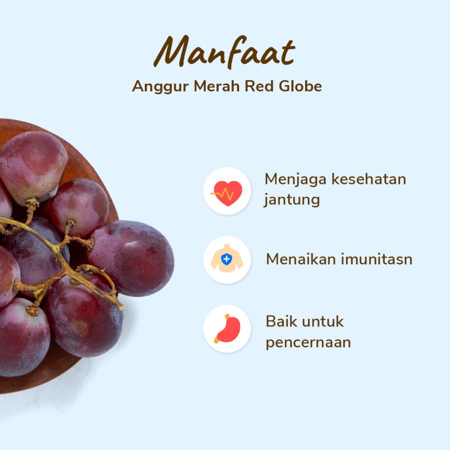 Anggur Red Globe Astro Farm 100-150gram