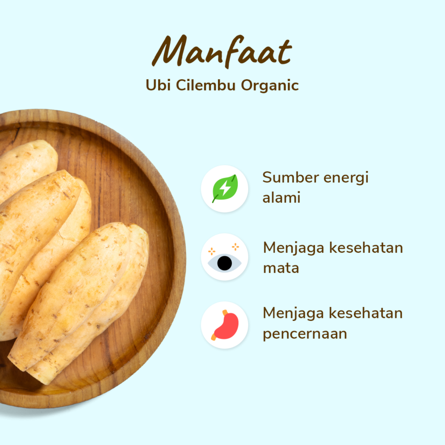 Ubi Cilembu Organik 500gram