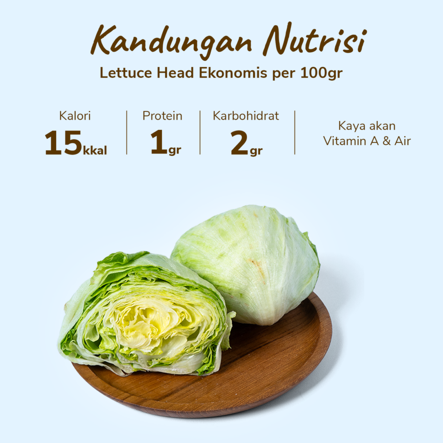 Lettuce Head Ekonomis Astro Farm 300gram
