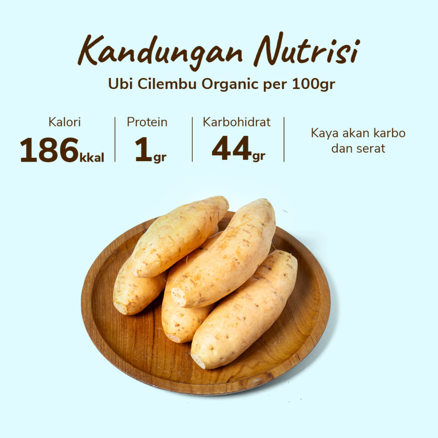 Ubi Cilembu Organik 500gram